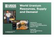 World Uranium Resources, Supply and Demand · PDF fileU.S. Department of the Interior U.S. Geological Survey World Uranium Resources, Supply and Demand Prepared for: Energy from the