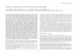 Axonal Transport of Monoclonal Antibodies - · PDF fileApril 1986, 6(4): ... and axonal transport of monoclonal antibodies will be useful as ... class of the antibodies was identified