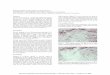 Interpretation of sub-salt converted waves - … of Sub-Salt Converted Waves ... Deriving a more correct interpretation from seismic data requires that appropriate attention be paid