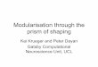 Modularisation through the prism of shaping - …krueger/COSYNE2008_kakrueger.pdfStructural modularity • Modularisation is a common problem in machine learning – A variety of solutions