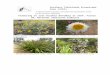 ??Web view2015-11-03Pultenaea procumbens,Heathy bush pea. Pultenaea procumbens, Heathy bush pea. Photos and text by Andy Russell Contact STEP: PO Box 440, Jamison Centre ACT 2614 Email