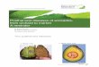 Postharvest diseases of avocados- from orchard to … diseases of avocados- from orchard to market A ... • Large backlog of NZ fruit in the market place leading to ... boscalid