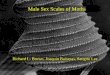 Male Sex Scales of Moths - LepCourse - Course …lepcourse.wikispaces.com/file/view/sex+scales.AZ.+aug.12.pdfMale Sex Scales of Moths Richard L. Brown. Joaquin Baixeras, Sangmi Lee