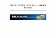 IBM DB2 10 for z/OS beta - Triton · PDF fileSECTION I – INTRODUCTION OF DB2 10 FOR Z/OS ... DB2 10 provides administration flexibility for specific security role settings preventing