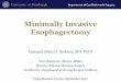 Minimally Invasive Esophagectomy - Duke Universityweb.duke.edu/surgery/2017ThoracicMasters/session6/minimally... · RAMIE RA-GPEH/Nissen Other Robotic Assisted Esophageal Trends Over