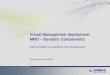 Visual Management deployment MRO Dynamic · PDF file · 2016-01-13Visual Management deployment MRO – Dynamic Components ... the maturity assessment D Definition of the project R