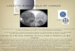 Lagotto Romagnolo of Canadalagottoromagnoloofcanada.com/dogs/wp-content/uploads/lagotto... · Lagotto Romagnolo of Canada is proud to present A GUIDE FOR ... Canada. GENERAL APPEARANCE