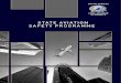 STATE AVIATION SAFETY PROGRAMME - CAA Plans/State Aviation Safety Programme.pdf · The State Aviation Safety Programme (SSP) ... Impact, Resources and ... Guidance for the determination