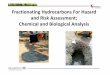 Fractionating Hydrocarbons For Hazard and Risk · PDF fileFractionating Hydrocarbons For Hazard and Risk Assessment; Chemical and Biological Analysis. Risk assessment ... processes