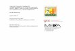 ACi Study Value chain finance cashew sector Nampula April ... · PDF file4.0 CASHEW VALUE CHAIN FINANCE SUPPLY SIDE ANALYSIS ... In Mozambique, ACI’s goal is to ... solutions strategies