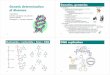Genetics, genomics Genetic · PDF file(construction of detail genetic, physical and transcriptional maps of genomes with ultimate aim to complete entire DNA sequence (e.g. HUGO project)