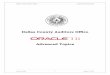 Dallas County Auditors Office · PDF fileDallas County Auditors Office Oracle ... liabilities & payroll. ... Program number represents a special program or a program related to a project