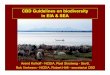CBDGuidelines on biodiversity in EIA & SEA - Exeterpeople.exeter.ac.uk/rwfm201/cbbia/downloads/Boston05/Slootweg... · CBDGuidelines on biodiversity in EIA & SEA Arend Kolhoff 