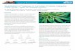 Quantitation of Terpenes in Cannabis Products … notes/Terpenes_in_cannabis_3xQuad...p 1 Quantitation of Terpenes in Cannabis Products Using the Triple Quad™ 3500 LC-MS/MS System