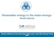 Renewable energy in the water-energy- food nexus · PDF fileRenewable energy in the water-energy-food nexus Energy resilience at the food-energy-water nexus | Asia Clean Energy Forum