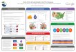 Data-Driven Sustainable Food · PDF fileData-Driven Sustainable Food Purchasing Katie Filippini, ... The process that ... environmental impacts of providing food for the employee cafeterias