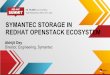 SYMANTEC STORAGE IN REDHAT OPENSTACK ... Viroblk ! RHEL!Guest Viroscsi ! A Use Case: Symantec Storage Appliance integrated with Redhat OpenStack Symantec Storage NAS Appliance !Scalable