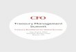 Treasury Management Summit - …ie.theinnovationenterprise.com/eb/CFOTreasury2014.pdf · The popular Treasury Management Summit draws an audience of CFO’s and ... succeed in today’s
