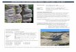 SEDIMENTS AND SEDIMENTARY ROCKS – ERTH …earthsciences.dal.ca/www/Course_Syllabi/2017-2018_FALL...RYAN–2203–2017F: Dalhousie University sits on traditional territory of the