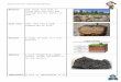 Teachers Guide 10 - Nature Conservation Lewisham | · Web viewSedimentary Rock Rock formed when layers of mineral particles are squashed together Silt Fine rock particles that are