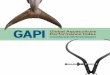GAPI Global Aquaculture Performance Index - University …web.uvic.ca/~gapi/data/reports/GlobalAquaculturePerfo… ·  · 2011-02-08Indonesia ... Global Aquaculture Performance Index