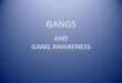 GANGS - Charlotte Regional Safety & Health Conference gang...Objectives 1. You will learn the definitions of the term GANG. 2. You will learn the reasons why kids join gangs and the