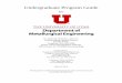 Undergraduate Program Guide - · PDF filemetallurgy, metallography, functionally graded mate rials, composites, magnetic materials, thin ... Principles and practice involved in qualitative