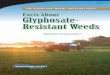 GWC-1, Facts about Glyphosate-Resistant Weeds · PDF fileGlyphosate, Weeds, and Crops widespread and repeated glyphosate use without diversified weed management has increased the selection
