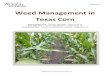 Weed Management in Texas Corn - publications.tamu.edupublications.tamu.edu/WEEDS_HERBICIDES/WeedControl-TexasCorn-… · 3 GENERAL PRACTICES Weeds compete with corn for moisture,