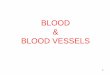 BLOOD BLOOD VESSELS - · PDF fileTransports nutrients from digestive organs to cells 4. ... disease which effects production of ... blood smears as an artifact of slide preparation;