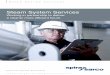 Steam System Services - Spirax · PDF filespiraxsarco.com Benefits: Steam System Services can help to maintain your steam system at its optimum level, ensuring that steam reaches the