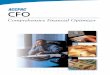 CFO -  · PDF filefinancial data. “ACCPAC CFO is easy to use and allows decision makers to quickly see the results of any scenario on the balance sheet,