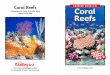 A Reading A–Z Level Q Leveled Book Word Count: 908 Reefsgcsdstaff.org/meyer/wp-content/uploads/2013/09/Coral-Reefs-Q.pdf · Coral Reefs A Reading A–Z Level Q Leveled Book Word