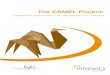 The CAMEL Project - · PDF fileinteresting aspects of the project was, however, the model itself. ... Camels are versatile animals ... The external evaluation report on the project