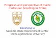 Progress and perspective of maize molecular breeding in · PDF fileOutline of Presentation Maize production in China Introduction of national maize improvement center Progress of molecular