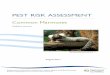 PEST RISK ASSESSMENT - Department of Primary …dpipwe.tas.gov.au/Documents/Common-marmoset_risk-assessment.pdfPEST RISK ASSESSMENT Common Marmoset ... Old World monkeys that are 