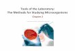 Tools of the Laboratory: for Studying Microorganisms · The Methods for Studying Microorganisms Chapter 2. What are the challenges if you want to study ... Microbes are everywhere
