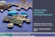 “REALIZING TOURISM OPPORTUNITIES”townsendgroups.berkeley.edu/.../realizing_tourism_opportunities...table of content table of content realizing tourism opportunities derna / green