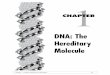 DNA: The Hereditary Molecule - Institute for School … 1 • Modern Genetics for All Students T 6 Chapter 1: Section A Background LET’S GO! LET’S INTRODUCE your students to the