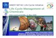 Life Cycle Management of Chemicals - Join us! Cycle Management of Chemicals Life Cycle Assessment, Substance Flow Analysis, Environmental Risk ... • A successful project must address