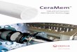 CeraMem - Veolia Water Technologiesveoliawatertechnologies.com/.../2015/01/34577VWS_CeraMem_4p_11 … · Veolia offers feasibility and pilot-scale testing utilizing CeraMem ... (MBR),
