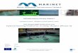 Hybrid Floating Platforms in Deep Waters (Phase II) · Title Hybrid Floating Platforms in Deep ... triangular semi-submersible platform carrying two ... on global motion response
