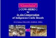 “Gaushala” - Home | Food and Agriculture Organization … GAUSHALA SOCIETY, Kanpur (UP) Enhanced Utilization of Bulls • The Gaushala is working for enhanced utilization of bulls