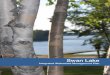 Swan Lake - Manitoba€¦ · The Swan Lake Watershed Conservation District, ... heart for the youth of the Nation and always had a word of encouragement for you in times of distress