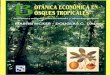  · Selva alta perennifolia en estado natural en Chiapas, ... Paullinia cupana H.B.K. variedad sorbilis (Mart.) Ducke ... riedad de café adaptada a la sombra del 