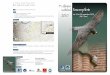 Programme-1785.pdf - files.biolovision.netfiles.biolovision.net/ · Recolonisation de la basse vallée de Seine par le Faucon pèlerin Géraud Ranvier PNR des boucles de la ... Sylvain