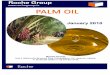 rochegroup.ierochegroup.ie/global-sourcing_9_3819636153.pdf · FFA (As Palmitic Acid) Dobi PALM FATTY ACID DISTILLARE ... RBD PALM OIL (RBDPO) FFA (As Palmitic Acid) IV (Wij's) MP