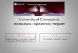 University of Connecticut Biomedical Engineering … Program Overview.pdfUniversity of Connecticut Biomedical Engineering Program DIRECTORS Rajeev Bansal, BME Program Director Donald