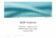 BGP Tutorial - APRICOT February 2004/05... · BGP Tutorial Philip Smith  ... • Load-balancing. ... • failure to realise that BGP session stability problems