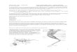 NREM/ZOOL 4464 – Ornithology Avian morphology: … NREM/ZOOL 4464 – Ornithology Avian morphology: Part 2 – internal anatomy Dr. Tim O’Connell Laboratory information for week